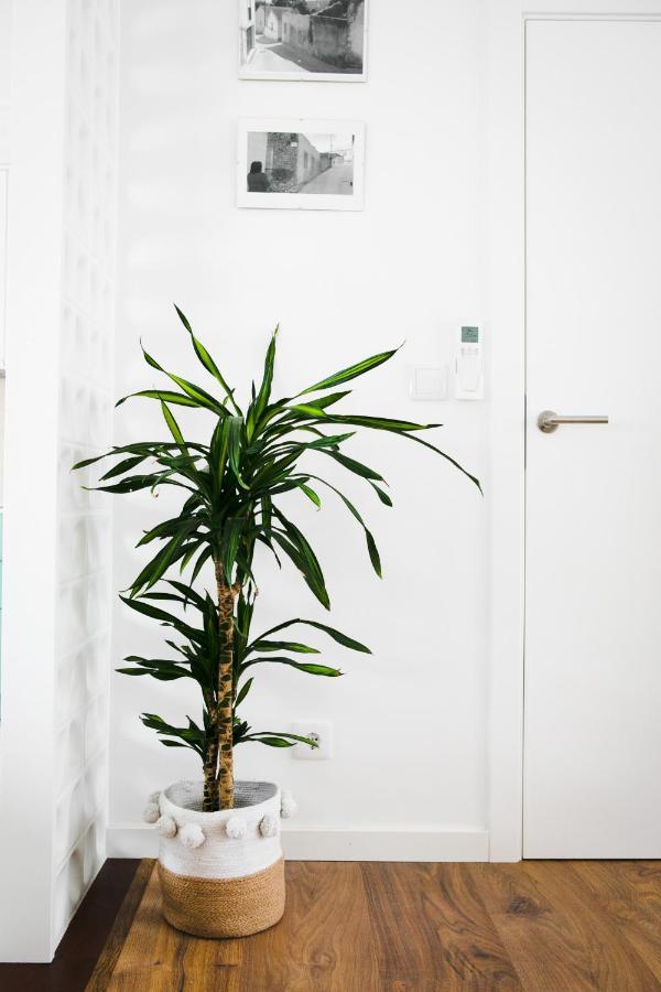 Eco Villa Do Adro Porto de Mós Zewnętrze zdjęcie